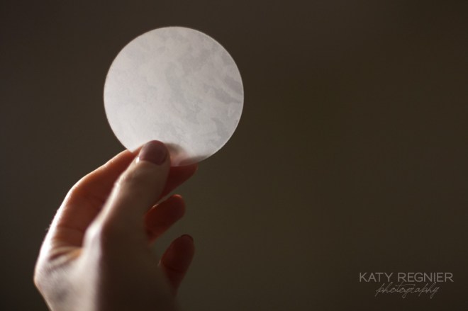 Project 365 on Permanent Riot by Katy Regnier photography