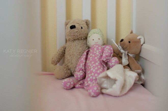 Project 365 on Permanent Riot by Katy Regnier photography