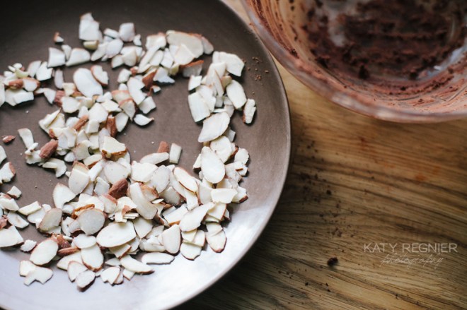 Project 365 on Permanent Riot by Katy Regnier photography