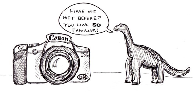 photography lessons on Permanent Riot by Katy Regnier photography