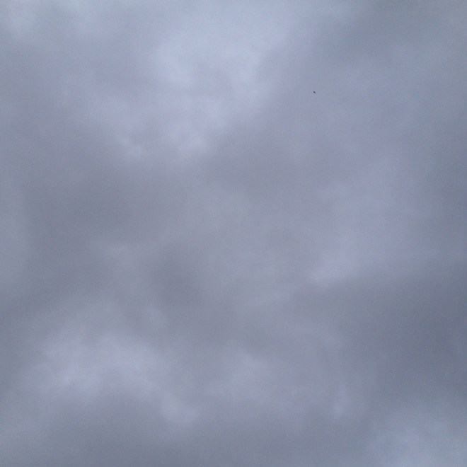 project 365 on Permanent Riot by Katy Regnier photography