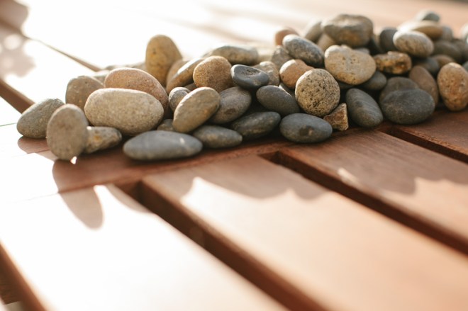 project 365 on Permanent Riot by Katy Regnier photography