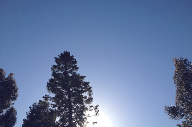 project 365 on Permanent Riot by Katy Regnier photography