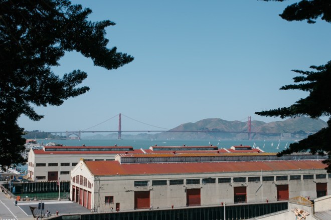 Project 365 on Permanent Riot