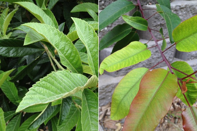 Thoughts on spring and new growth - Permanent Riot - a blog by Katy Regnier