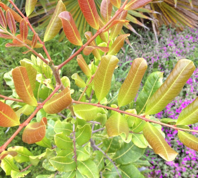 Thoughts on spring and new growth - Permanent Riot - a blog by Katy Regnier